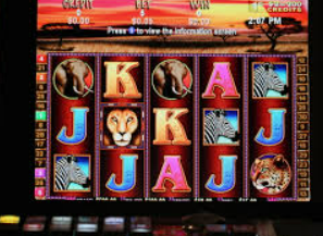 壹号.ccm下载1682024最新版